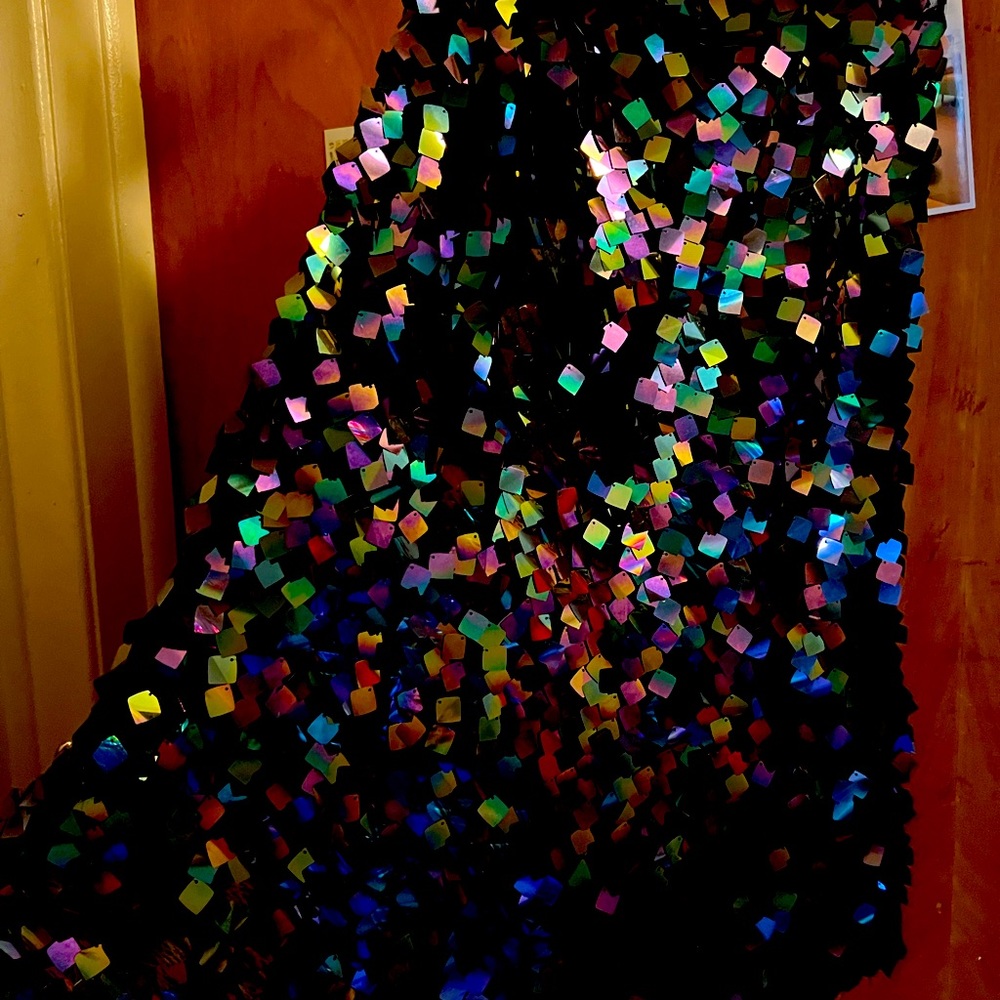 Gorgeous High Fashion Iridescent Cape & Spaghetti strap dress Suit.
